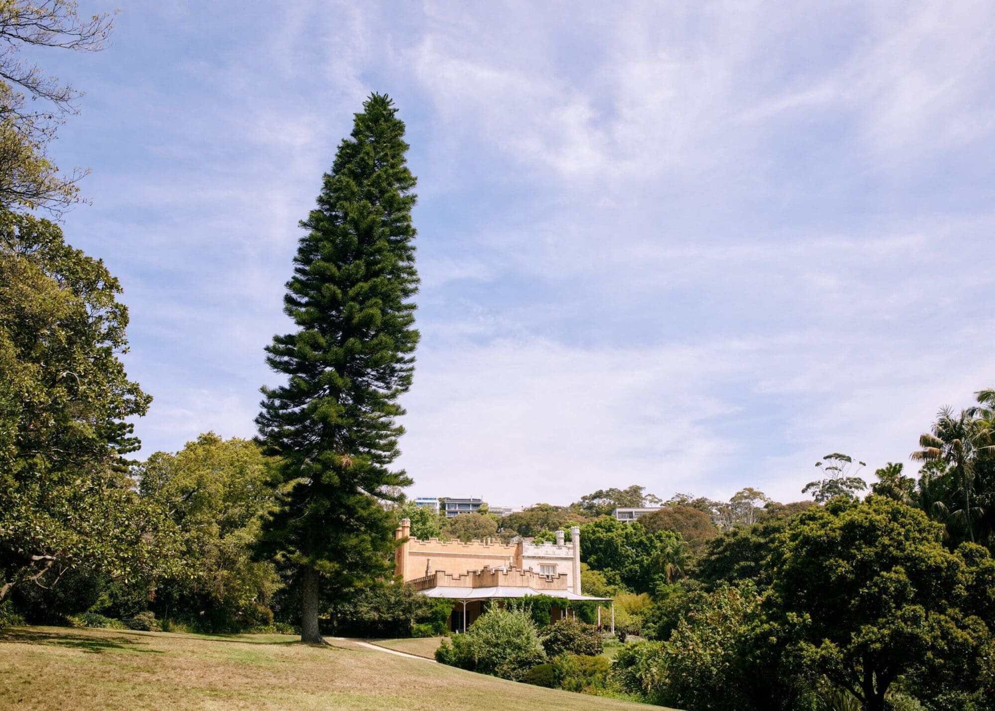 Estate Vaucluse House reception